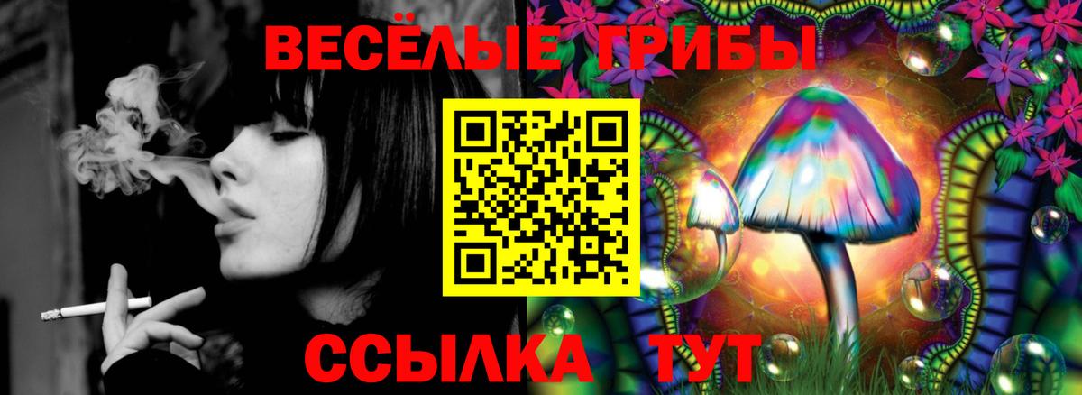 Псилоцибиновые грибы Psilocybe Иваново