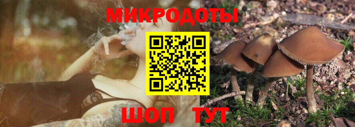 Псилоцибиновые грибы GOLDEN TEACHER  Галлюциногенные грибы Psilocybe  Вход с VPN  Иваново 